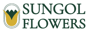 SunGol Flowers